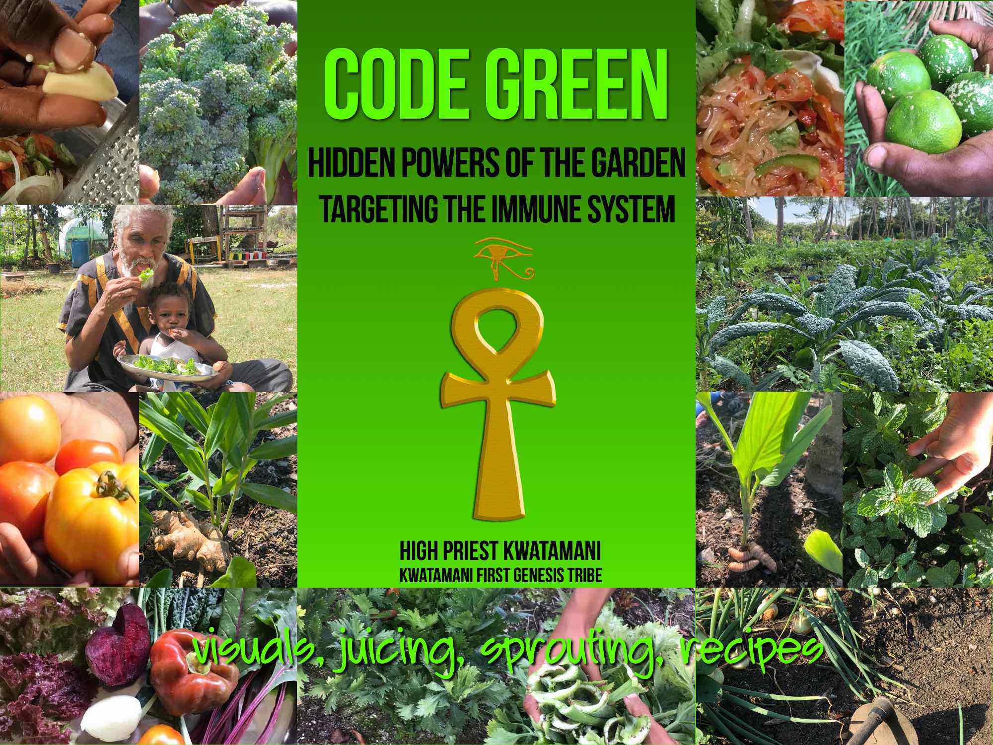 code green front cover