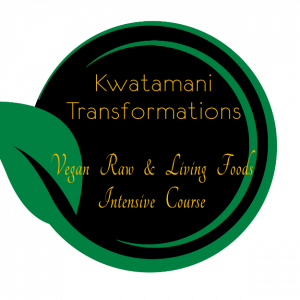 Logo Kwatamani Transformations 1