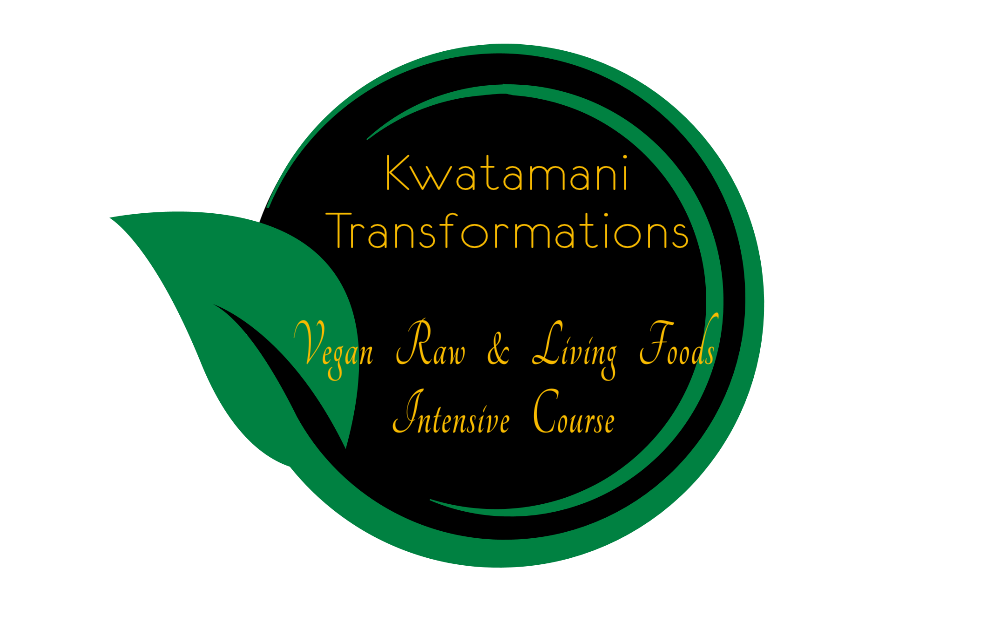 Logo Kwatamani Transformations