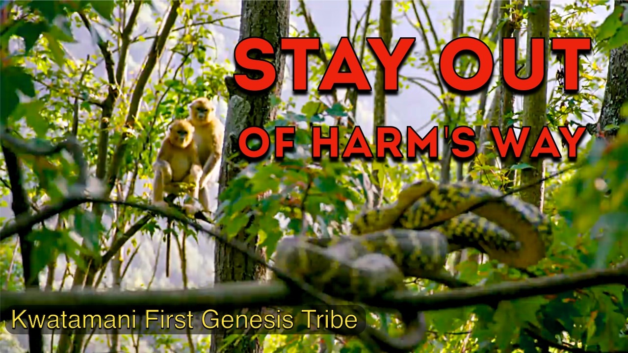 Rain forest jungle communal monkeys wary of the predator snake
